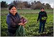 Empoderando la América Rural Nuevo Programa ER